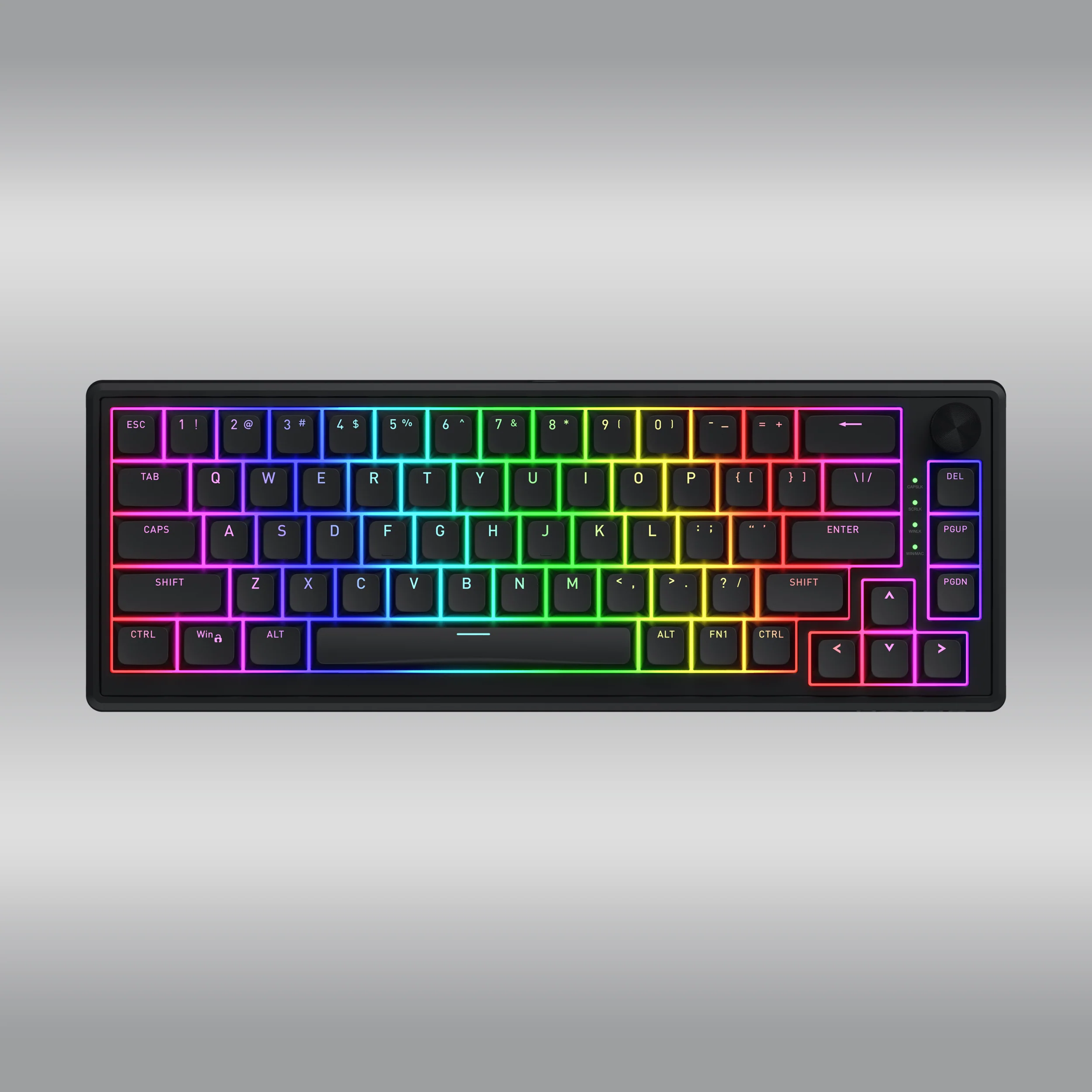 Skyfall 65 Wired